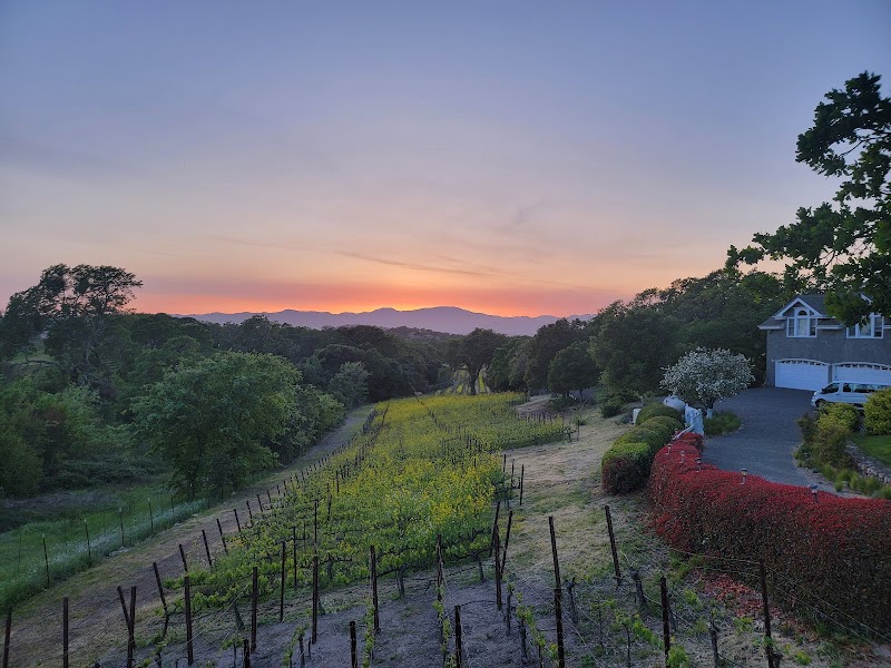 Blue Oak Vineyard photo 1