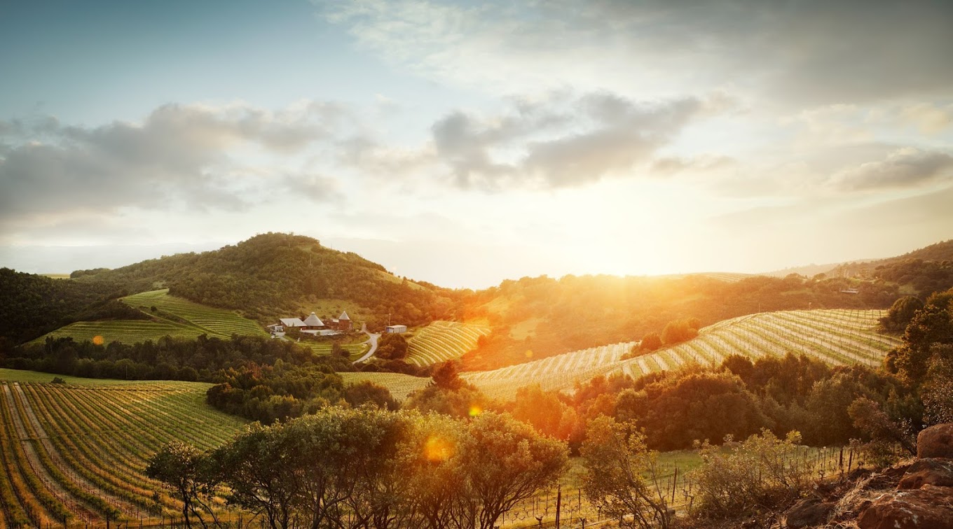 Repris Wines photo 1