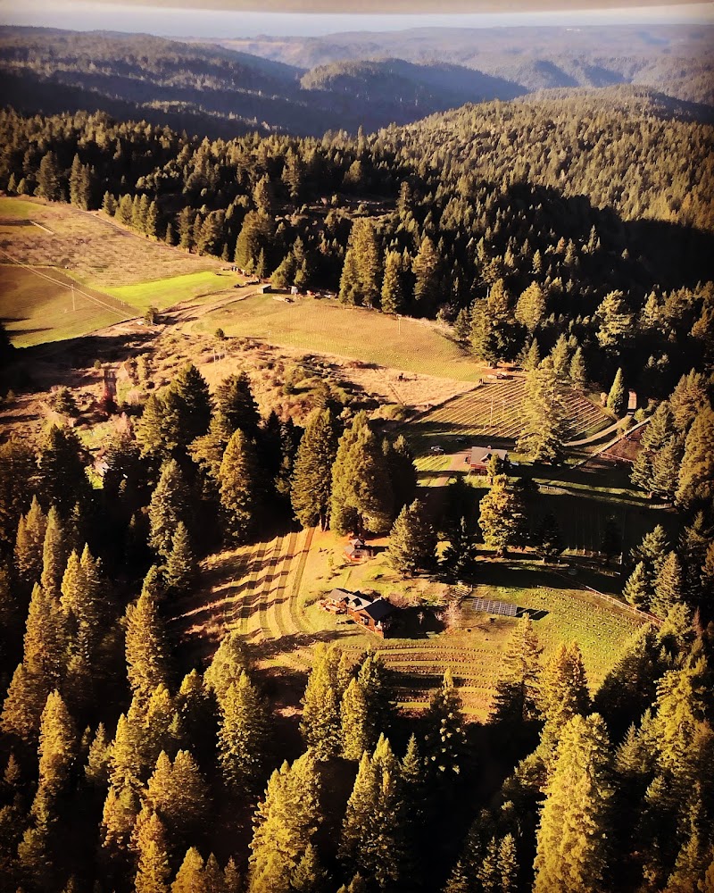 Wentworth Vineyards (Wentworth Vineyard & Ranch, LLC) photo 1