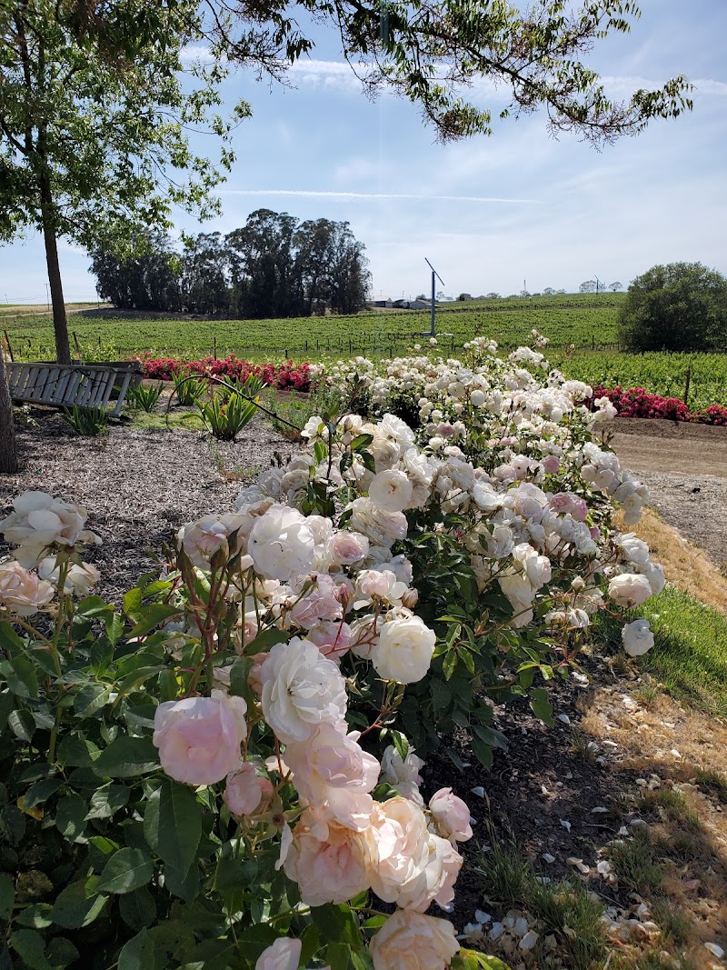 McKenzie-Mueller Winery photo 4