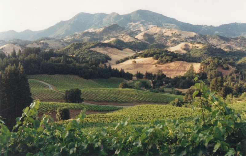 Storybook Mountain Winery photo 1