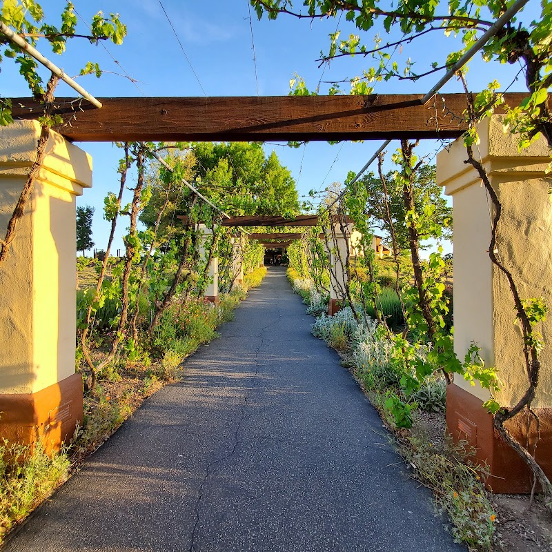 Castoro Cellars Vineyards & Winery photo 4