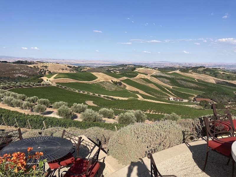 DAOU Vineyards photo 4