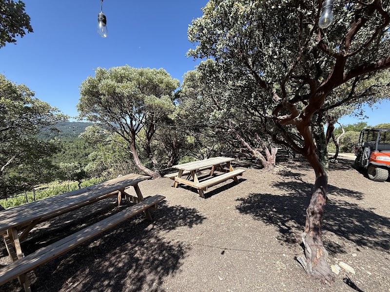 Hawks Hill Ranch Winery photo 1