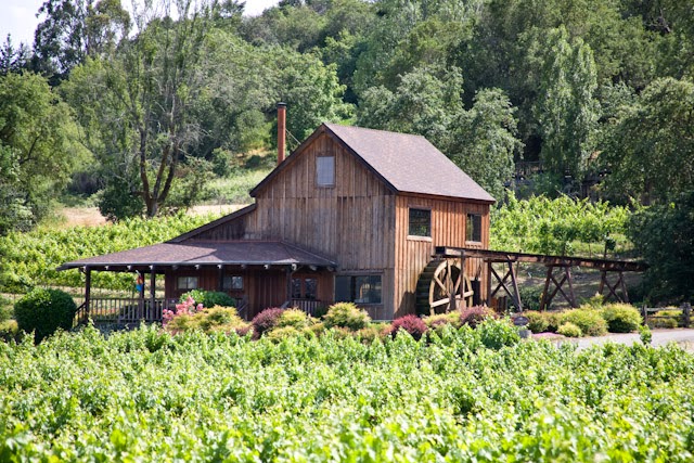 Mill Creek Vineyards & Winery photo 1