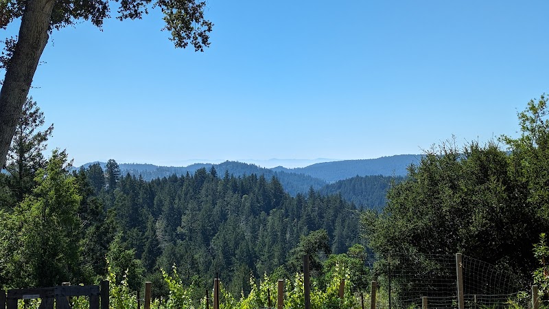 Roberts Ranch Vineyards photo 4