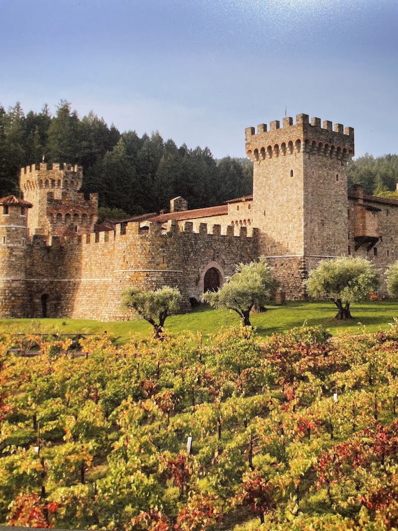 Castello di Amorosa photo 1