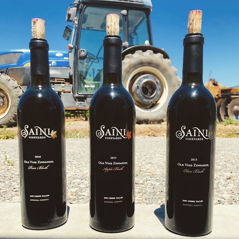 Saini Vineyards photo 4