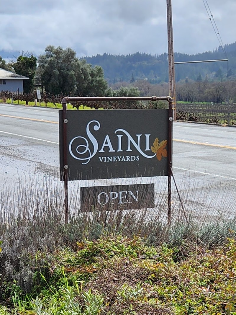 Saini Vineyards photo 5