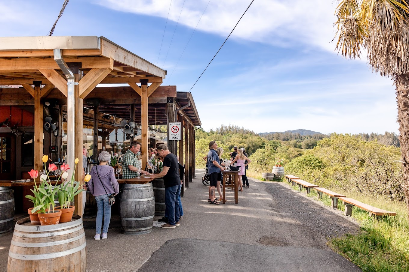 Iron Horse Vineyards photo 1