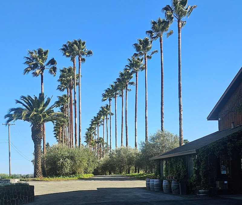 Iron Horse Vineyards photo 4