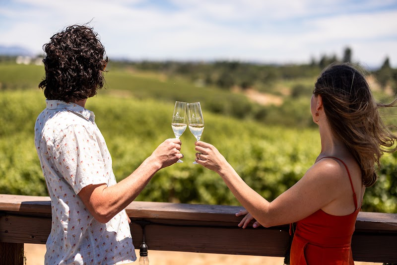 Iron Horse Vineyards photo 5