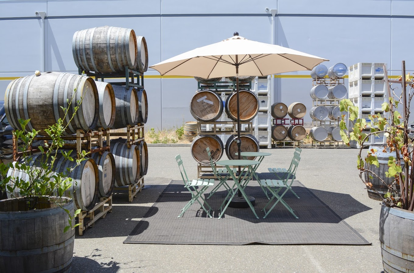 Two Shepherds Tasting Room photo 5