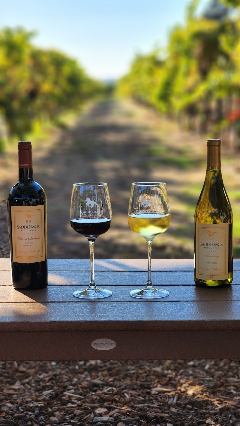 Saddleback Cellars photo 4