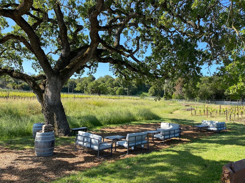 Parum Leo Winery & Vineyard photo 4