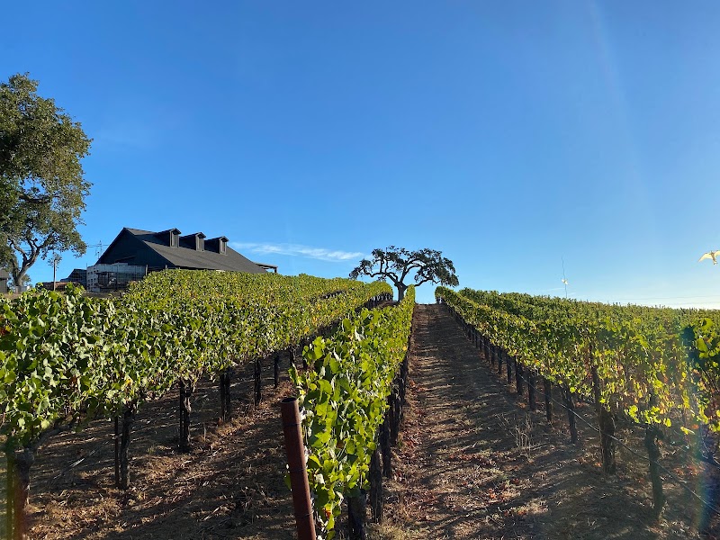 Parum Leo Winery & Vineyard photo 5