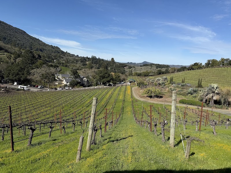 Benziger Family Winery photo 4