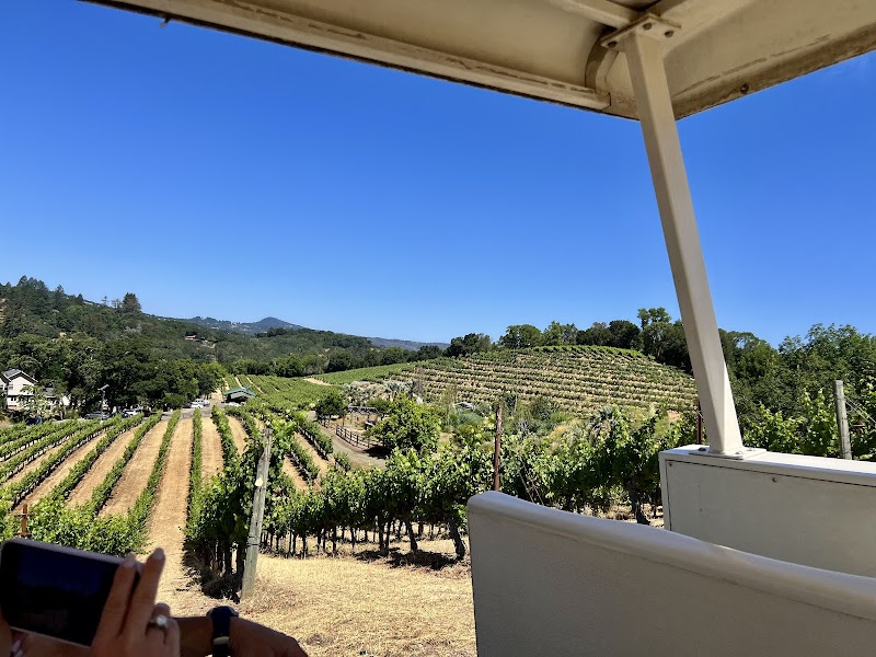 Benziger Family Winery photo 5