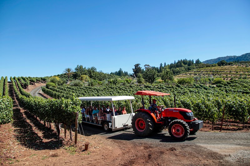 Benziger Family Winery photo 6
