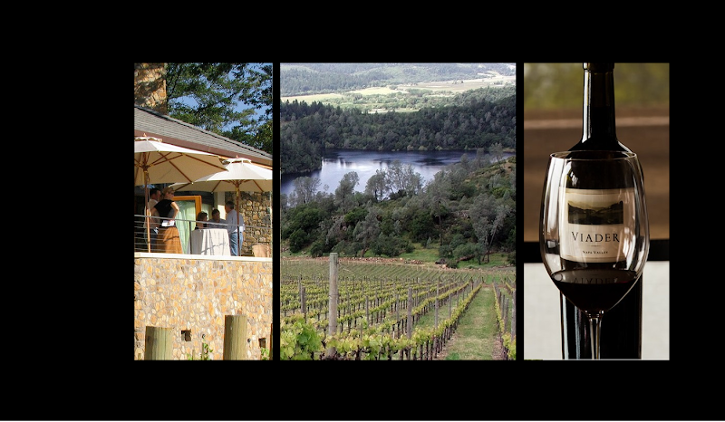Viader Vineyards & Winery photo 1