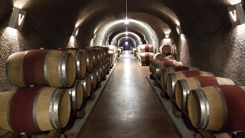 Viader Vineyards & Winery photo 5