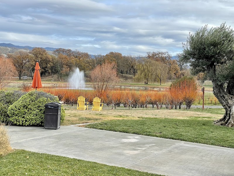 Saracina Vineyards photo 4