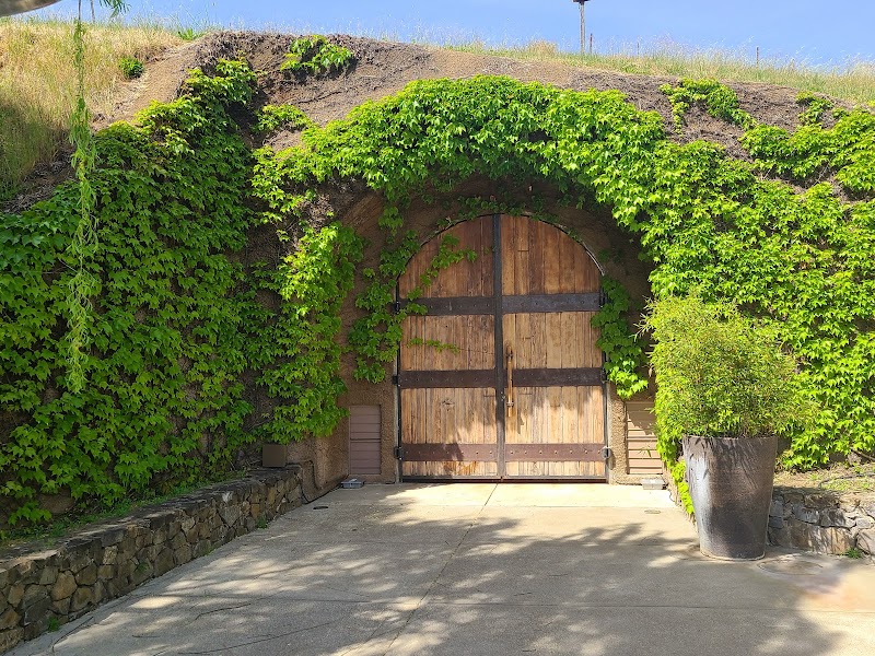 Saracina Vineyards photo 5