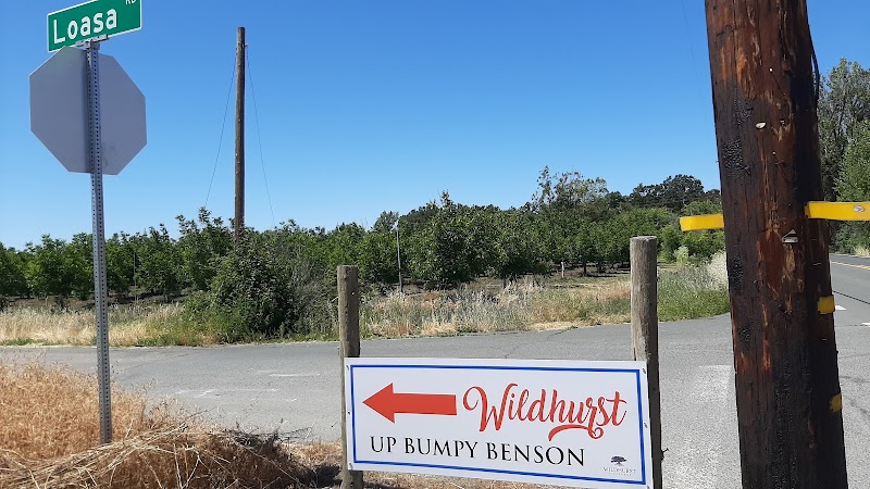 Wildhurst Vineyards photo 1