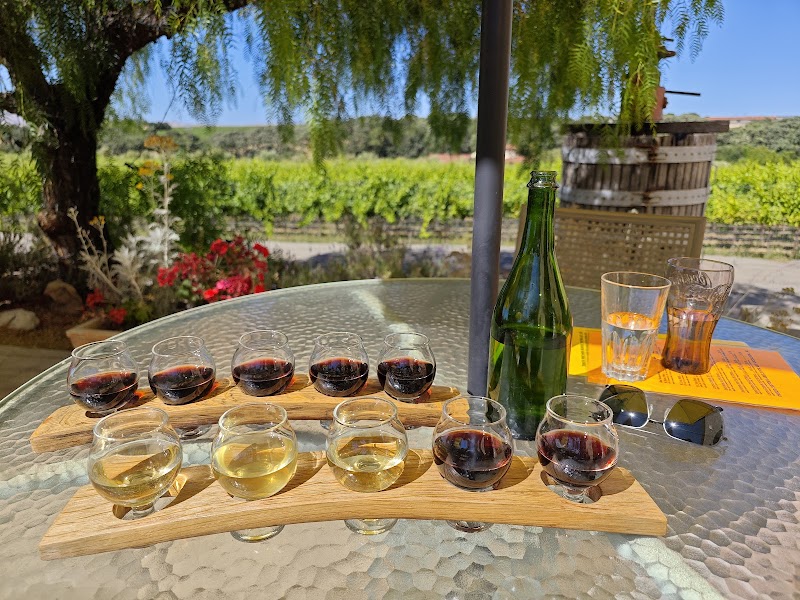Tenuta Vineyards photo 1