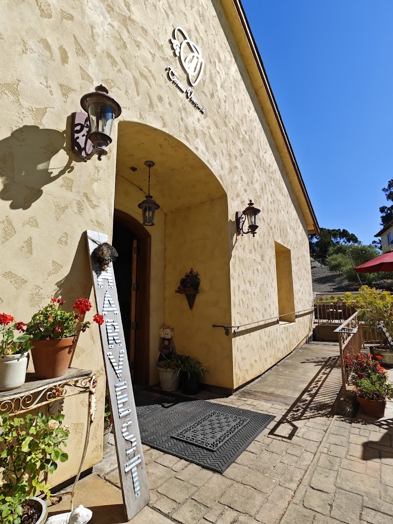 Tenuta Vineyards photo 5