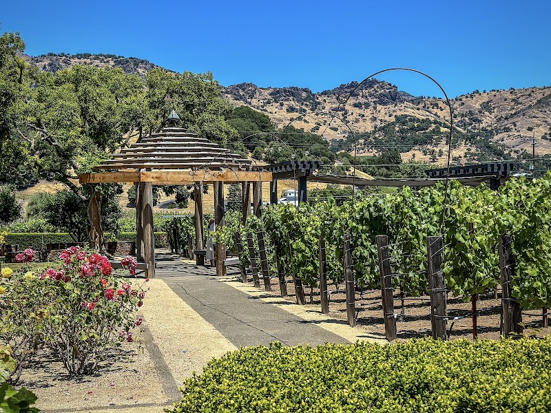 Pine Ridge Vineyards photo 4
