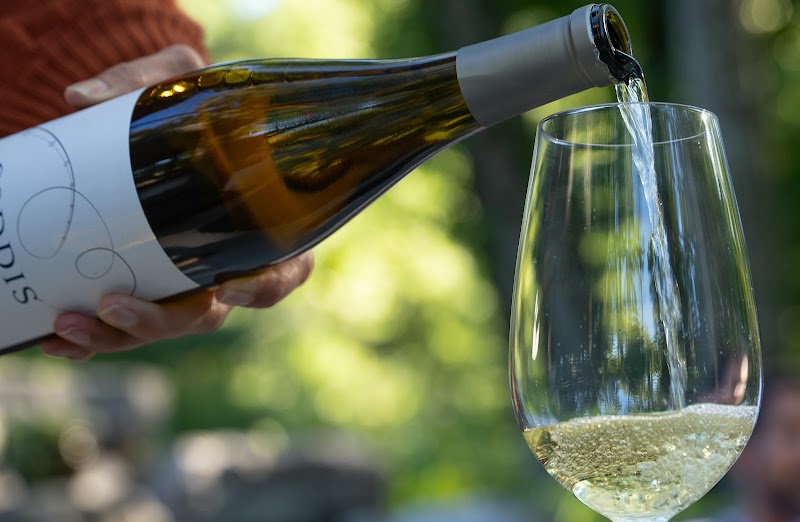Caddis Winery photo 1