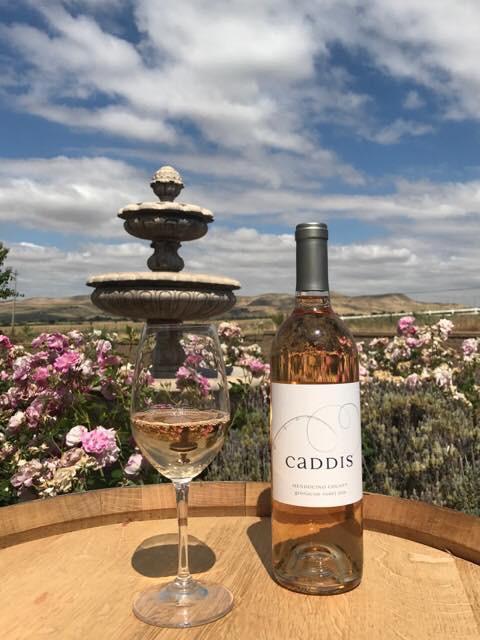 Caddis Winery photo 4