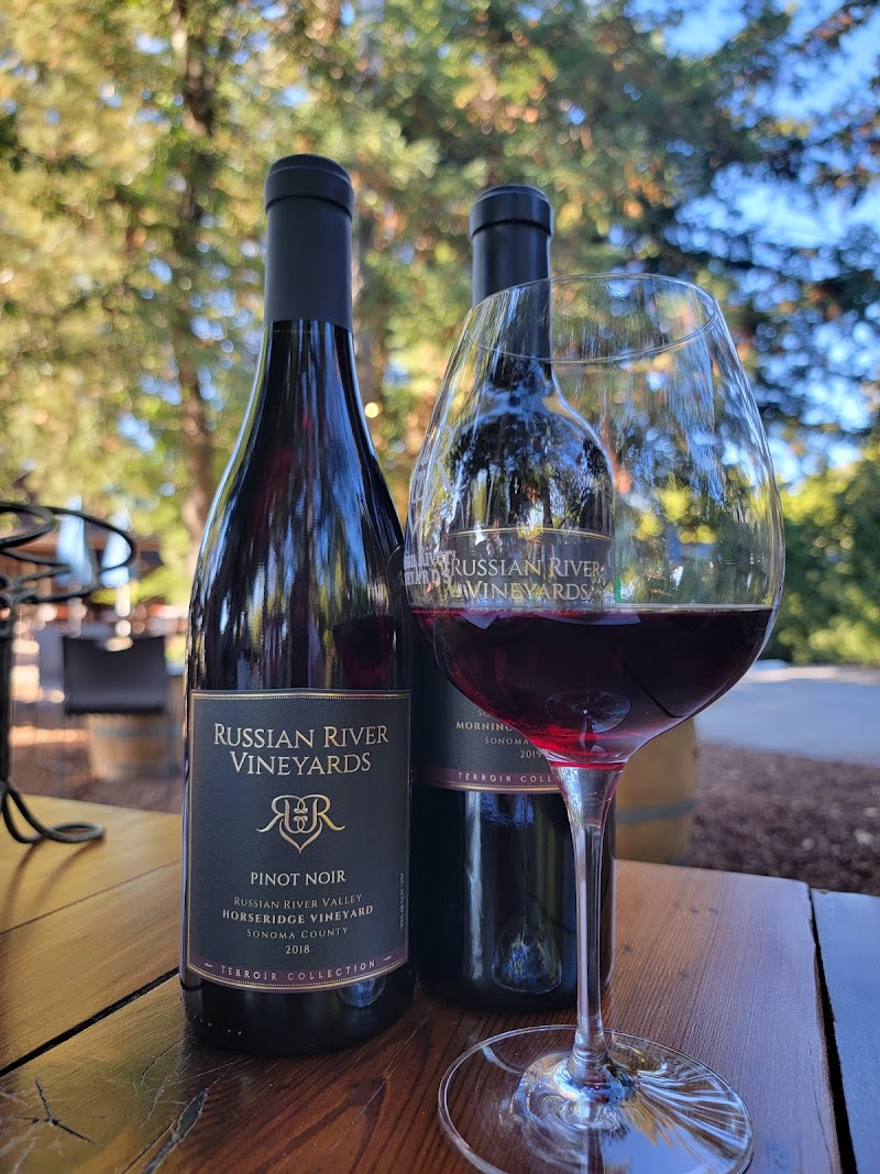 Russian River Vineyards photo 5