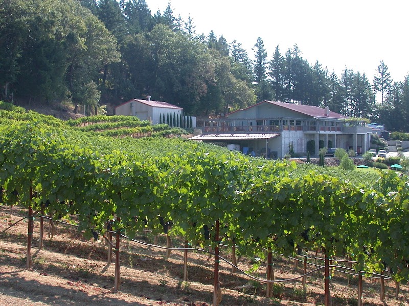 David Bruce Winery photo 5