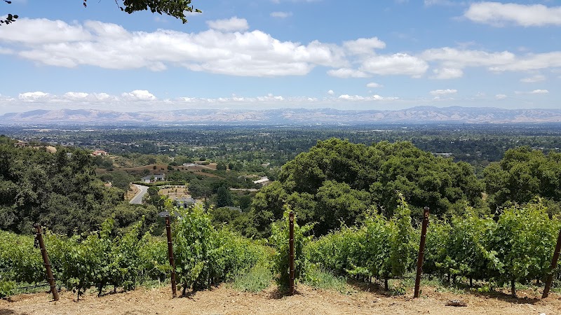 House Family Vineyards photo 4