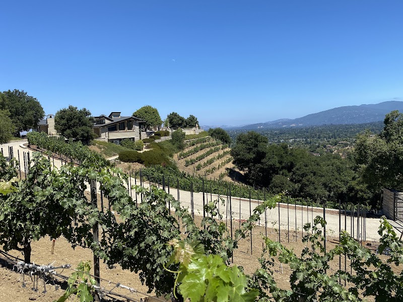 House Family Vineyards photo 5
