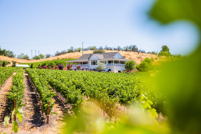 Parrish Family Vineyard photo 1
