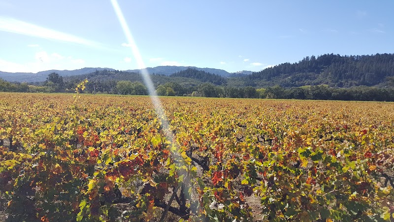 Titus Vineyards photo 4