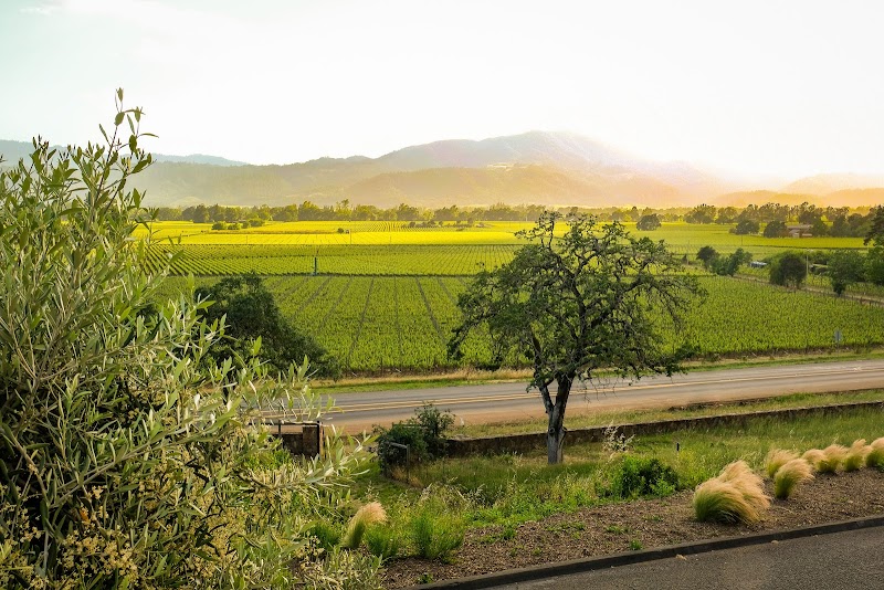 Miner Family Winery photo 1
