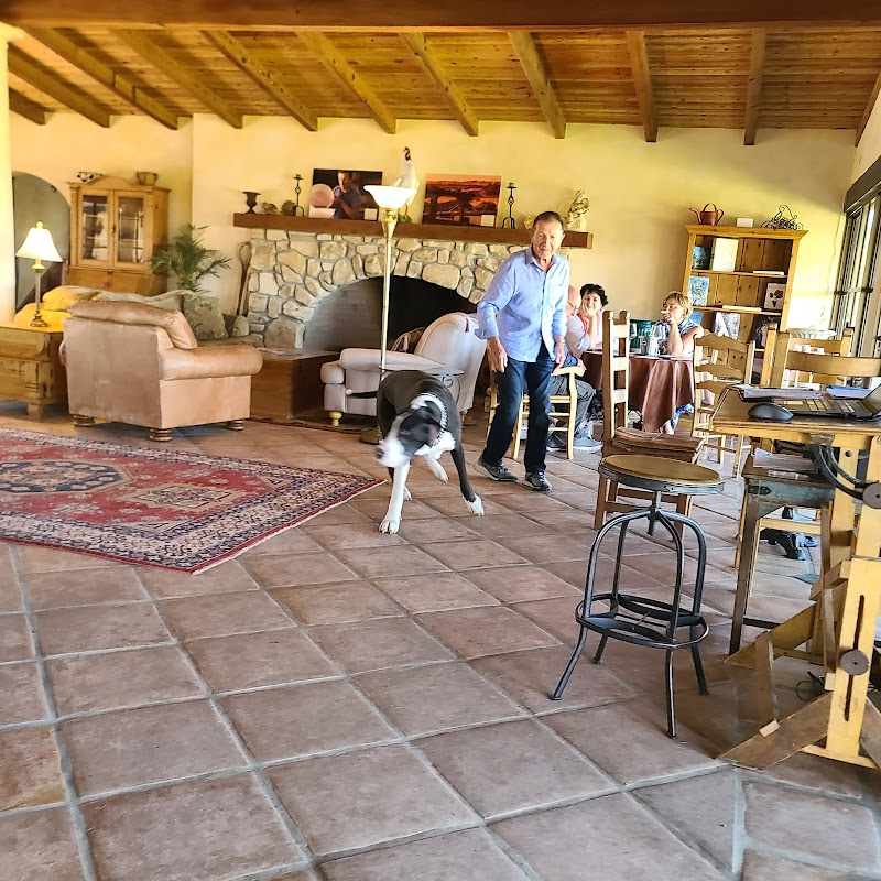 R N Estate Vineyard & Winery photo 5