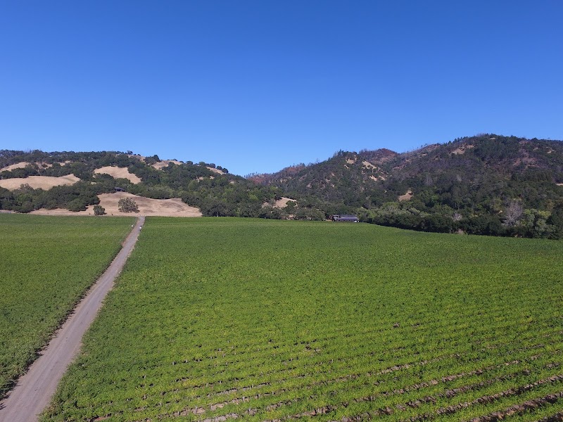 Hafner Vineyard photo 1