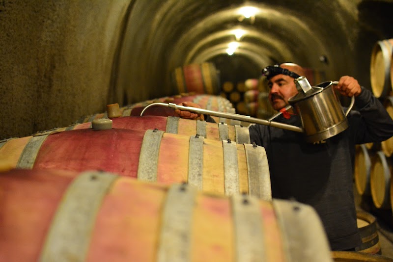 Hafner Vineyard photo 5