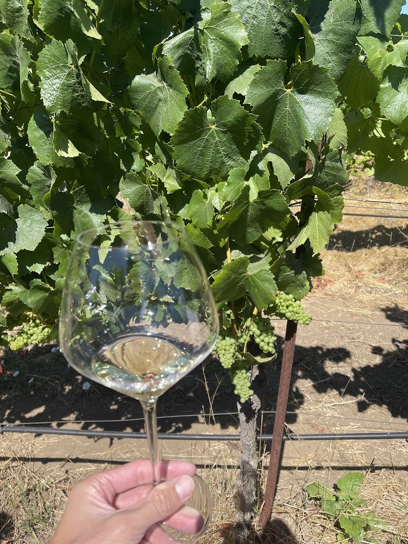 Hyde Vineyard Estate photo 5