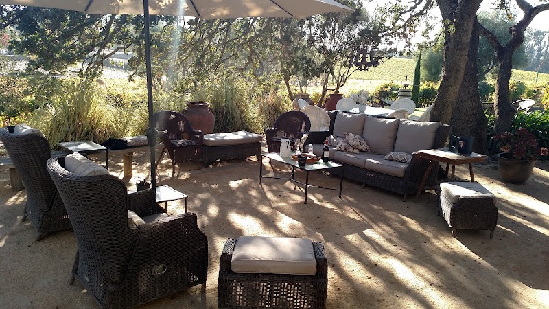 Black Cat Vineyard photo 1