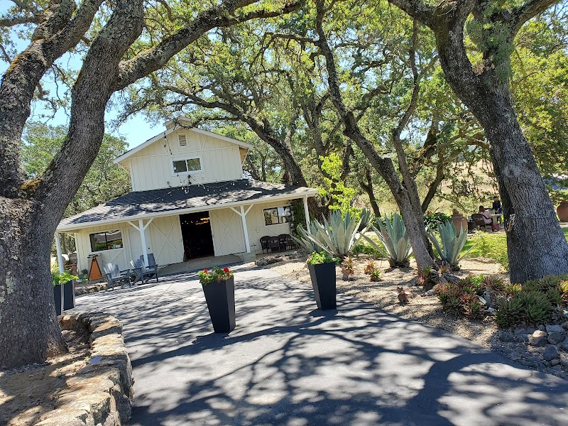 Black Cat Vineyard photo 5