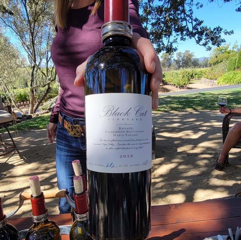Black Cat Vineyard photo 6