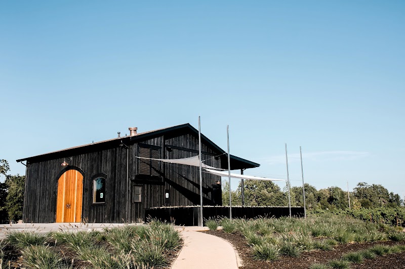 Hill Family Winery photo 1