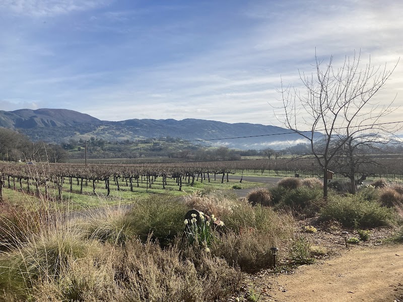 Nelson Family Vineyards photo 5