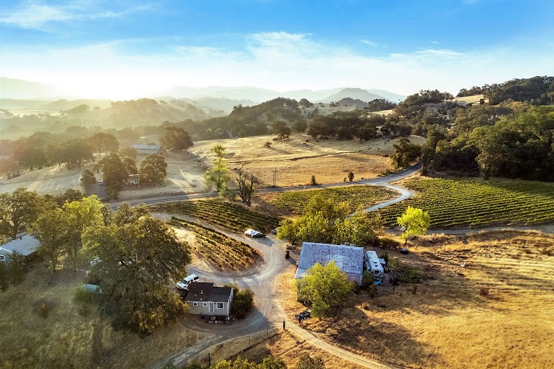 Duncan Peak Vineyards photo 4